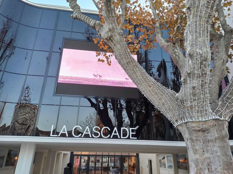 Spectacle son et lumière de Noël