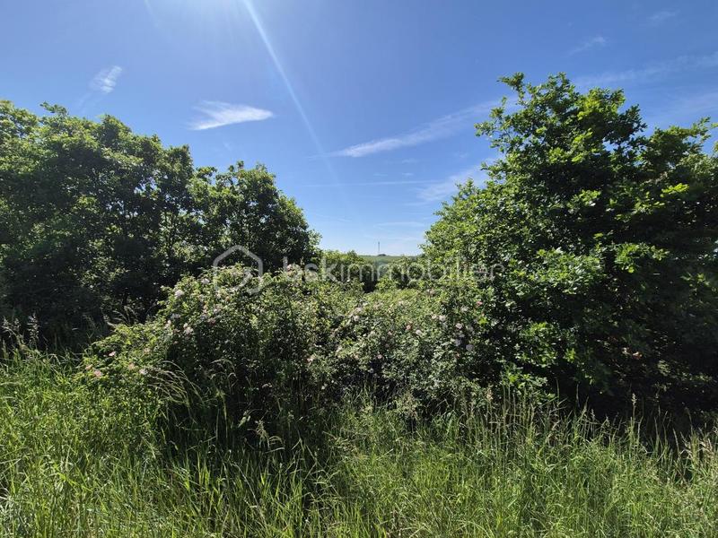 Terrain - 26 139 m²