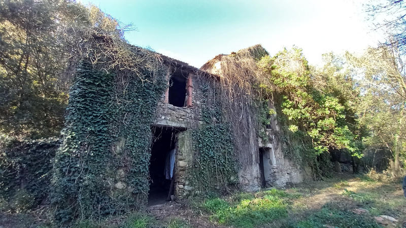 Terrain de loisirs - 31 439 m²