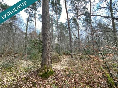 Terrain - 419 062 m²