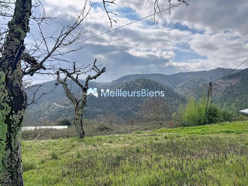 Propriété - 250 m² - 10 pièces