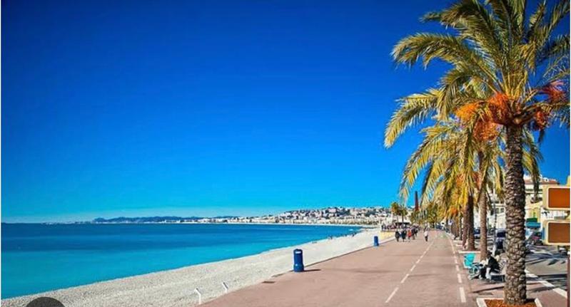 Studio - 156 m² - 8 pièces