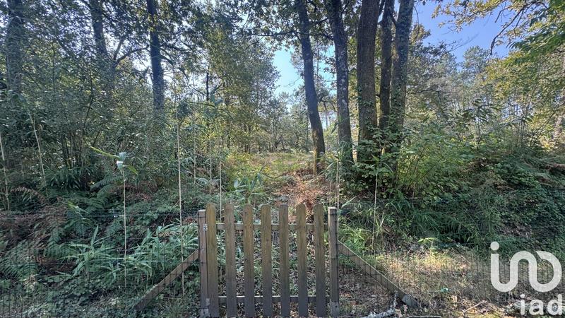 Maison - 116 m² - 4 pièces