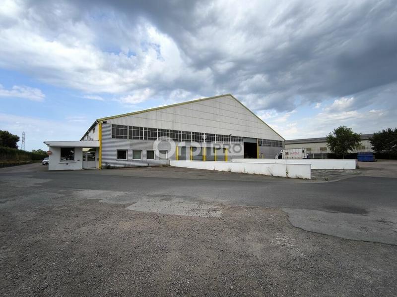 Local d'activité / Entrepôt - 3 060 m²