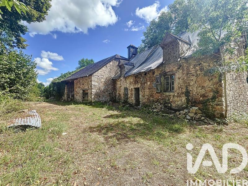 Ferme - 60 m² - 1 pièce