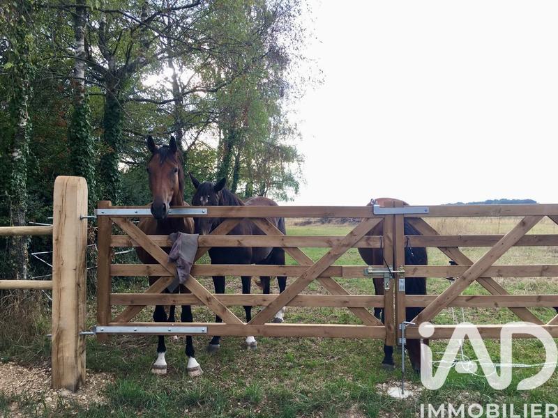 Maison - 375 m² - 11 pièces