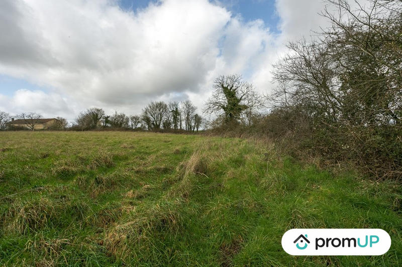 Terrain agricole - 7 200 m²