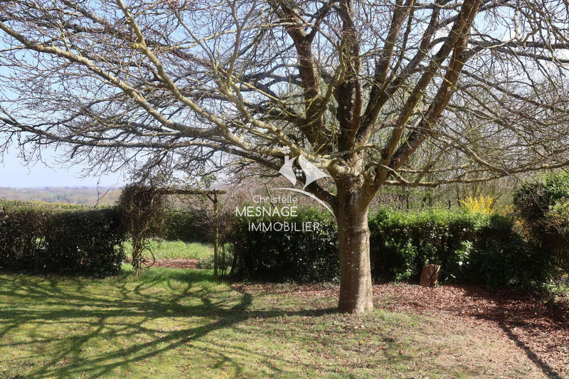 Maison contemporaine - 211 m² - 8 pièces