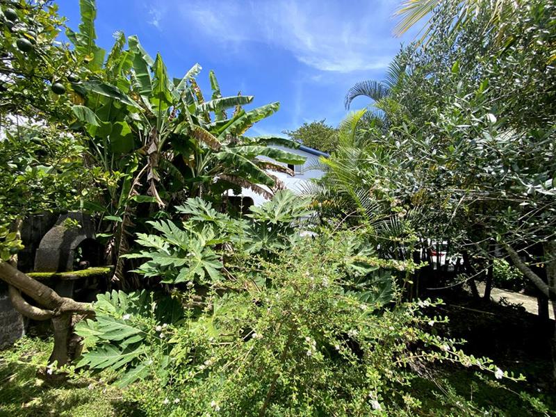 Maison - 137 m² - 6 pièces