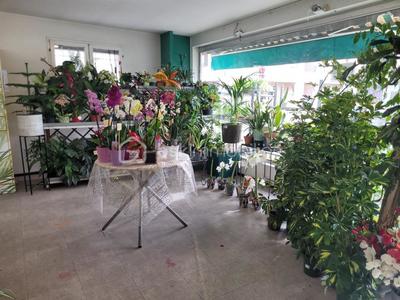 Local commercial - 359 m² - 6 pièces