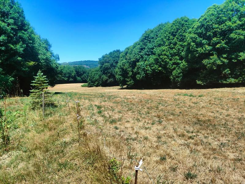 Maison - 165 m² - 5 pièces