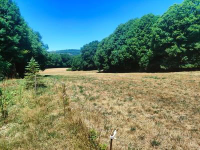 Maison - 165 m² - 5 pièces