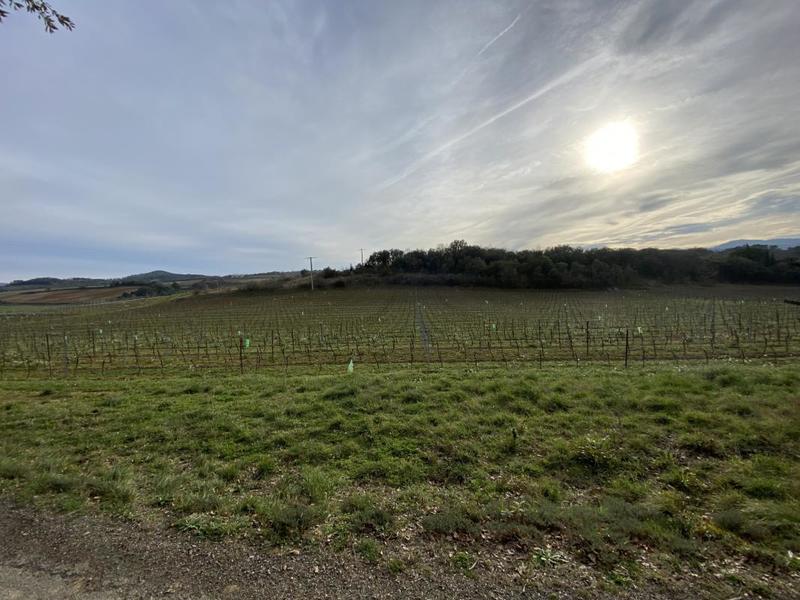 Propriété - 127 m² - 5 pièces