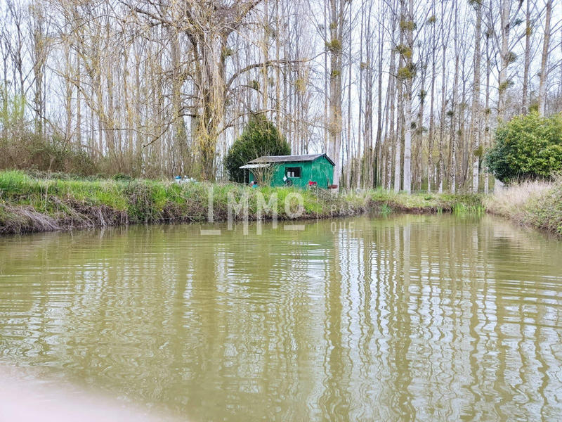 Terrain de loisirs - 9 800 m²