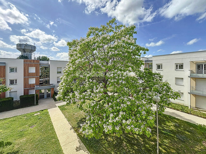 Appartement - 81 m² - 4 pièces