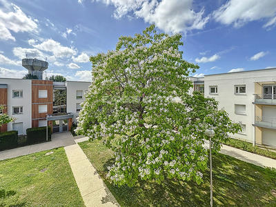 Appartement - 81 m² - 4 pièces