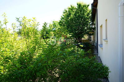 Immeuble - 500 m² - 12 pièces