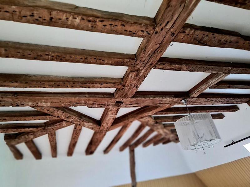 Château - 2 246 m² - 40 pièces