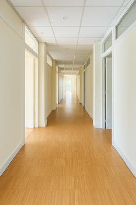 Bureau - 453 m² - 16 pièces