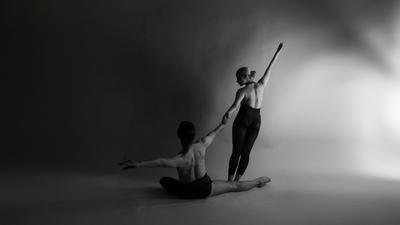 Mouche bis repetita - Mad - Opéra de Limoges