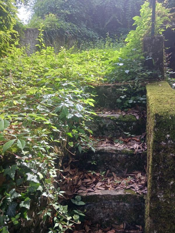 Maison - 175 m² - 7 pièces