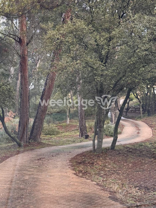 Maison - 215 m² - 5 pièces