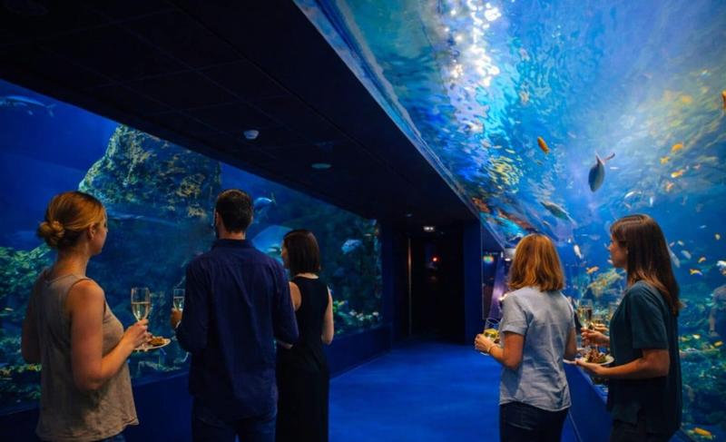 Balade gourmande à l’Aquarium de Biarritz