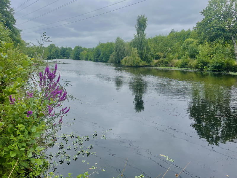 Terrain de loisirs - 23 000 m²