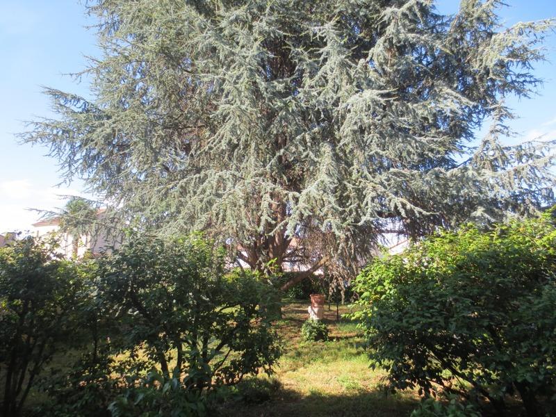 Maison - 290 m² - 10 pièces