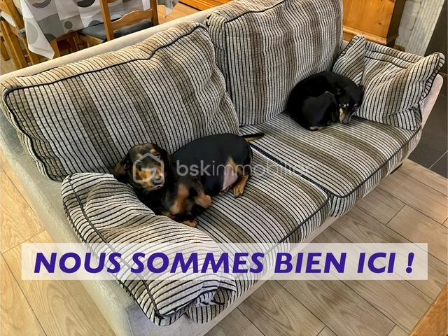 Maison - 146 m² - 6 pièces