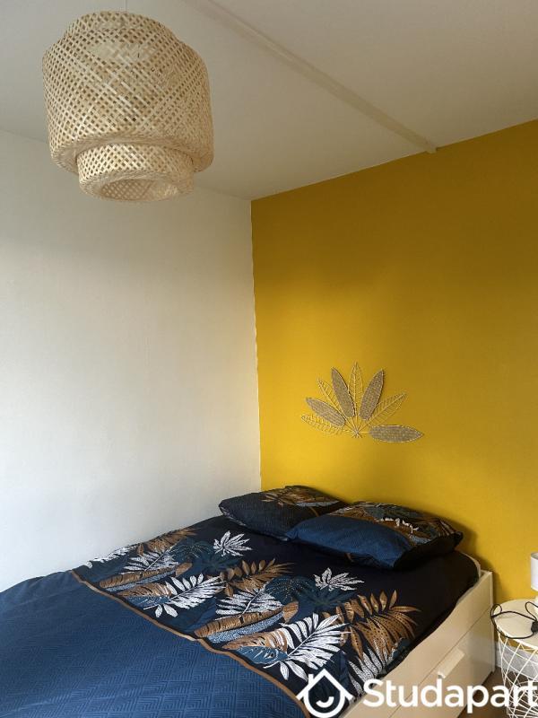 Chambre - 10 m² - 1 pièce