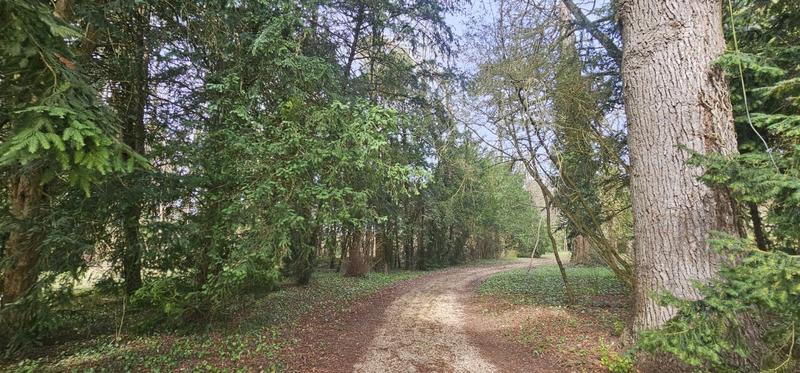 Manoir - 600 m² - 12 pièces