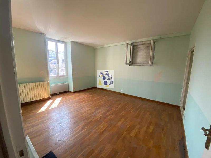 Hôtel particulier - 330 m² - 10 pièces