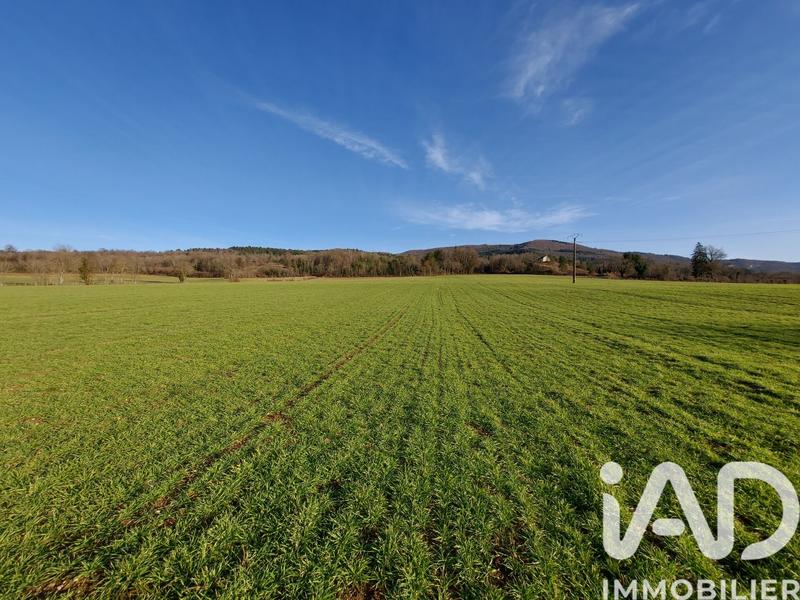 Ferme - 297 m² - 9 pièces