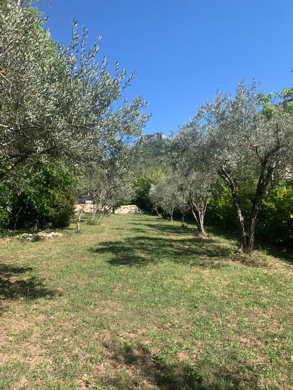 Mas - 350 m² - 14 pièces