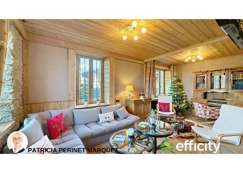 Châlet - 435 m² - 14 pièces