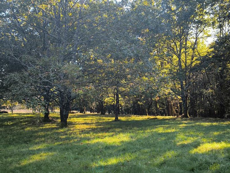 Maison de maîtres - 280 m² - 11 pièces