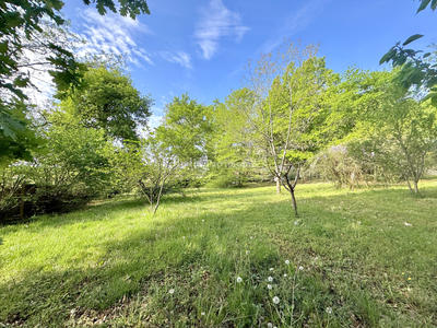 Terrain - 965 m²