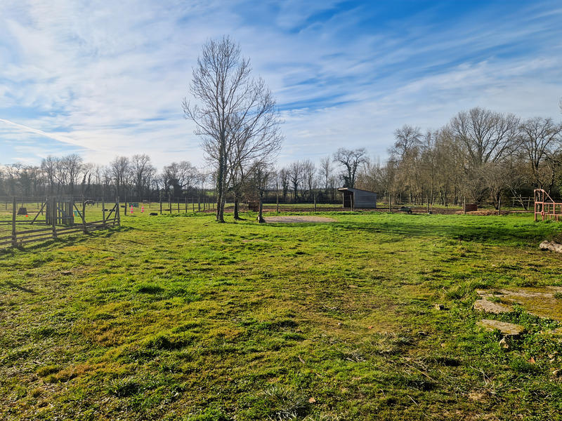 Maison de maîtres - 227 m² - 7 pièces