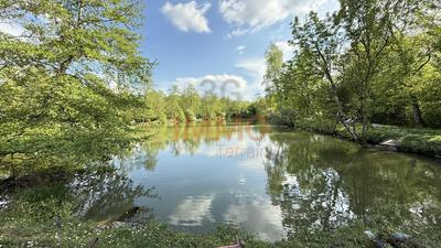 Terrain - 13 420 m²