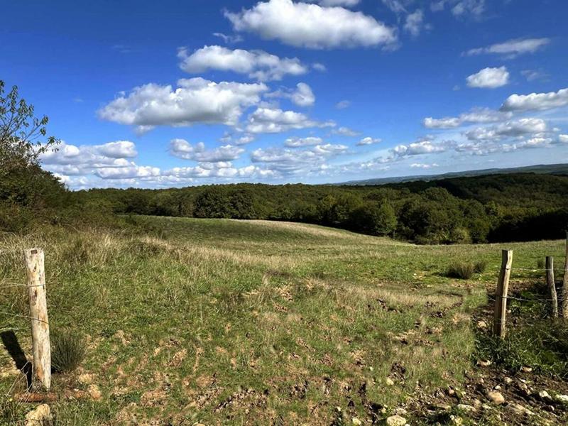 Propriété - 150 m² - 5 pièces