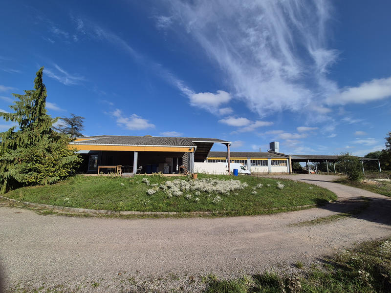 Local d'activités - 900 m²