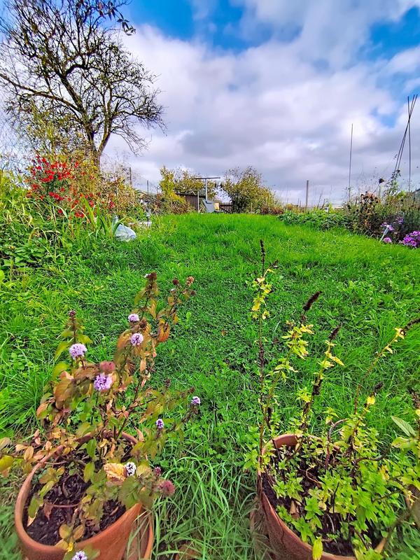 Maison - 120 m² - 3 pièces