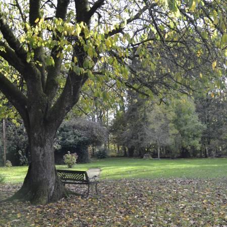 Maison - 230 m² - 9 pièces