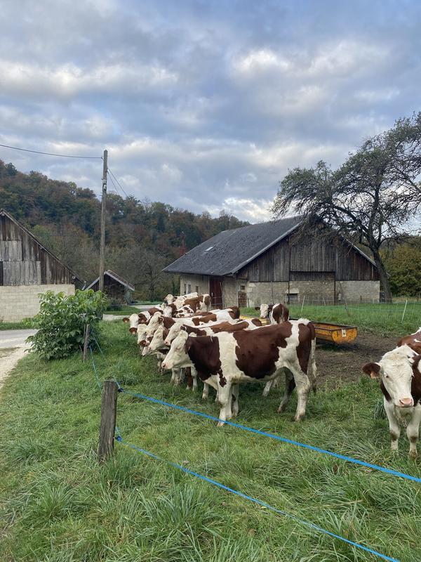 Maison - 103 m² - 5 pièces