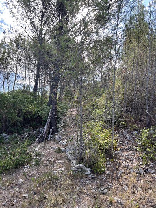 Terrain de loisirs - 2 006 m²