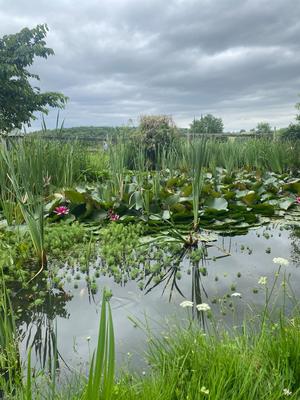 Maison de campagne - 236 m² - 7 pièces