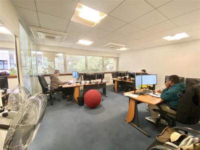 Bureau - 146 m²