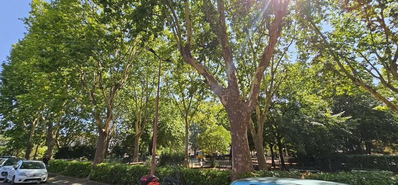 Appartement - 30 m² - 2 pièces