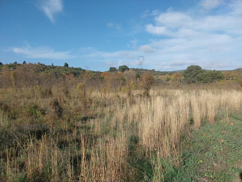 Terrain agricole - 36 175 m²